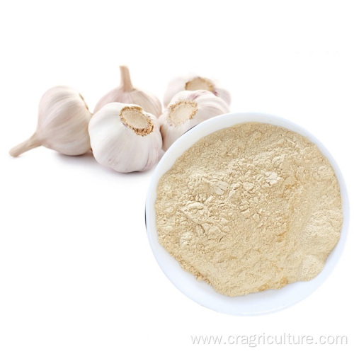 Top Quality Garlic Dry Powder Vegetables